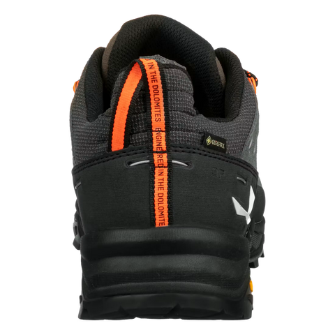 Alp Trainer 2 GTX Bungee Cord | Zwart